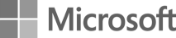 icon-microsoft